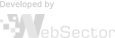 Developed by WebSector
